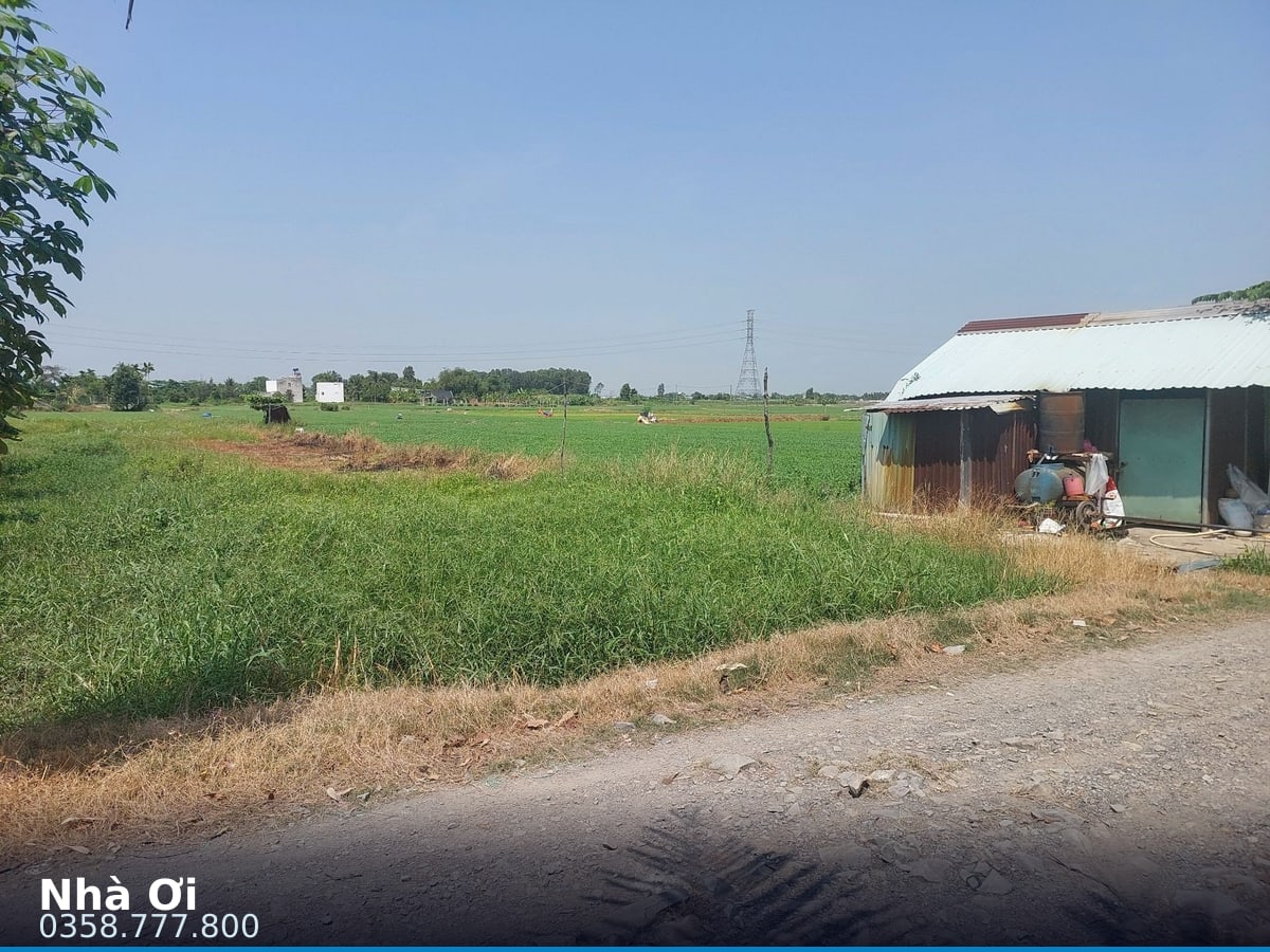 Nhà đất — Bình Mỹ, Bình Mỹ, Củ Chi — 1788.2m² · ngang 31m — 26 tỷ