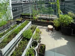 Nhà đất — Bờ Bao Tân Thắng, Tân Sơn Nhì, Tân Phú — 85m² · ngang 5m · 5 tầng — 27 tỷ