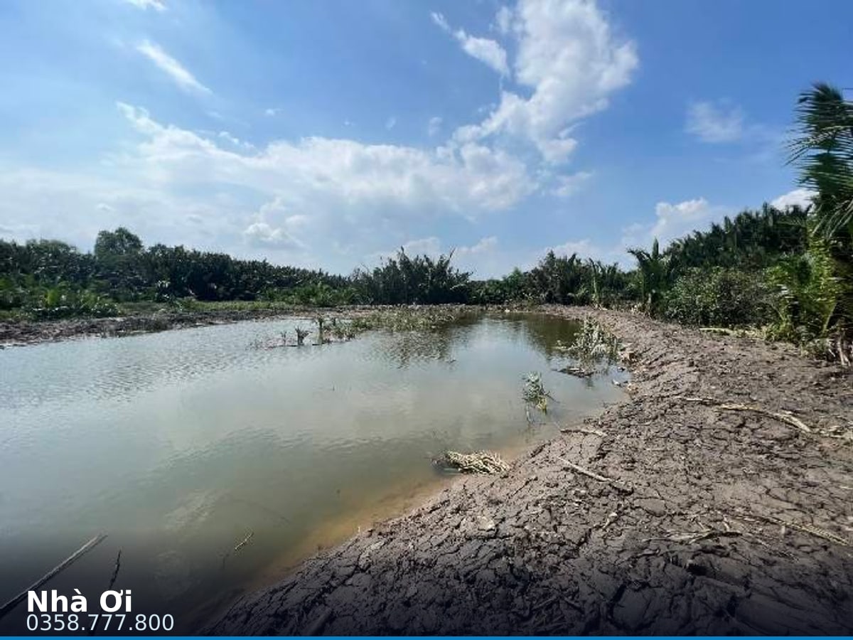 Nhà đất — Nguyễn Bình, Hiệp Phước, Nhà Bè — 4868m² · ngang 34m — 34 tỷ