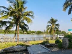 Nhà đất — Nguyễn Thị Lèn, Bình Mỹ, Củ Chi — 1450.1m² · ngang 37m · 1 tầng — 350 tỷ