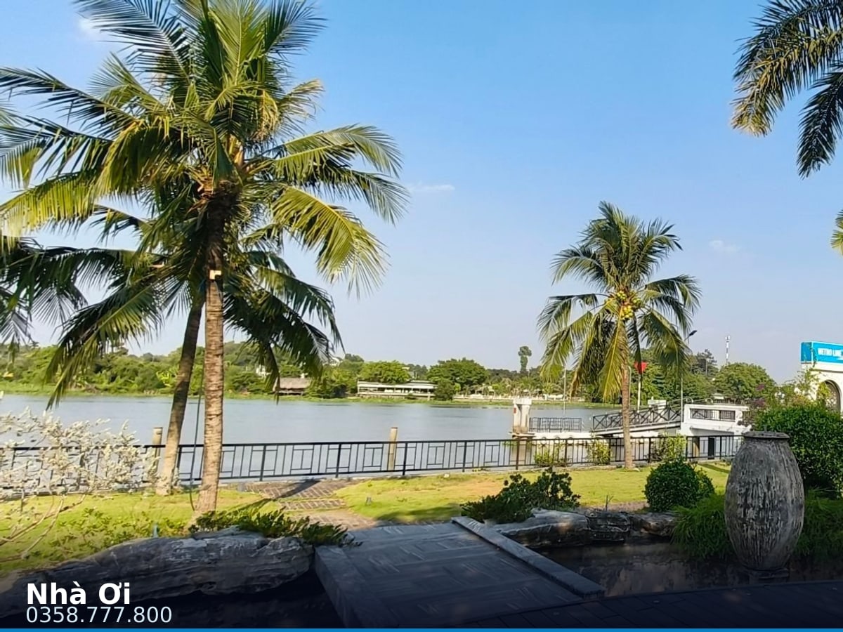 Nhà đất — Nguyễn Thị Lèn, Bình Mỹ, Củ Chi — 3456.6m² · ngang 53m — 350 tỷ