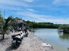 Nhà đất — Rừng Sác, Cần Giờ — 21000m² · ngang 700m — 250 tỷ