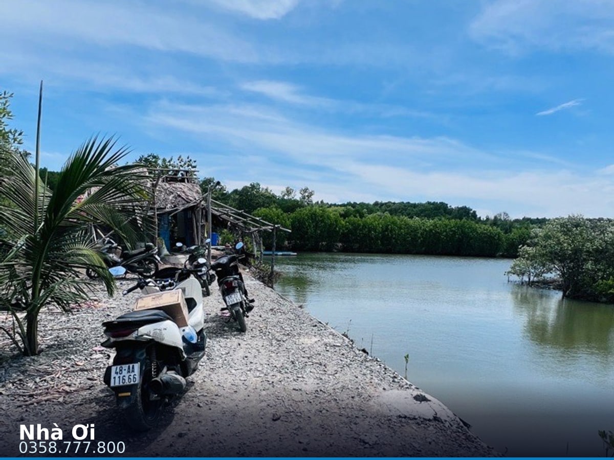 Nhà đất — Rừng Sác, Cần Giờ — 21000m² · ngang 700m — 250 tỷ