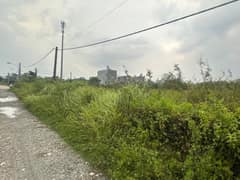 Nhà hẻm — Đường Số 8, Long Phước, Quận 9 — 2488m² · ngang 55m · 1 tầng — 64,6 tỷ