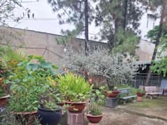 Nhà hẻm — Võ Văn Vân, Tân Vĩnh Lộc, Bình Chánh — 2680m² · ngang 31.5m · 2 tầng — 58 tỷ