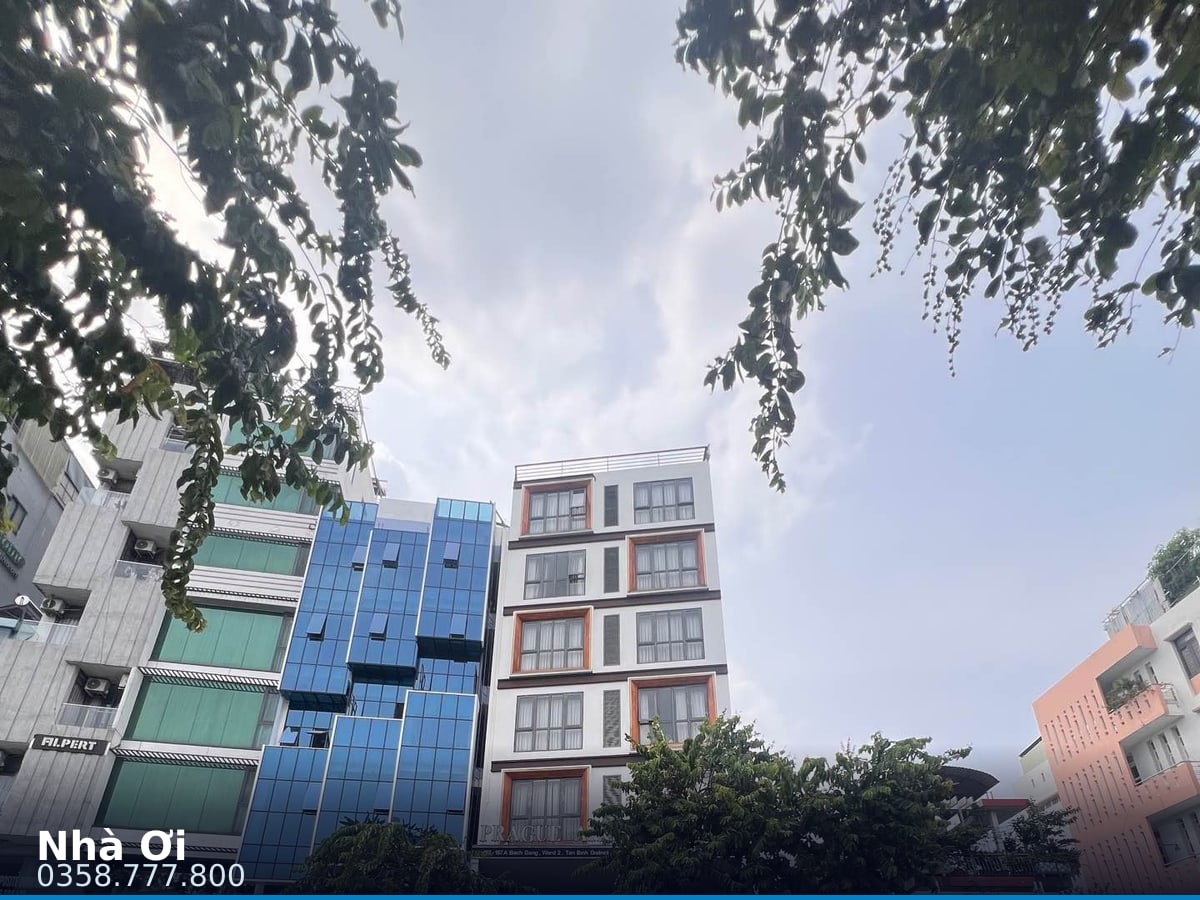Nhà mặt tiền — Bạch Đằng, Tân Sơn Hòa, Bình Tân — 61m² · ngang 8m · 3 tầng — 26 tỷ