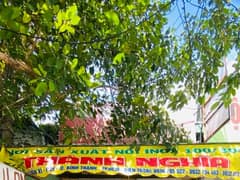 Nhà mặt tiền — Nguyễn Xí, Bình Thạnh — 146m² · ngang 4.7m · 1 tầng — 44,99 tỷ