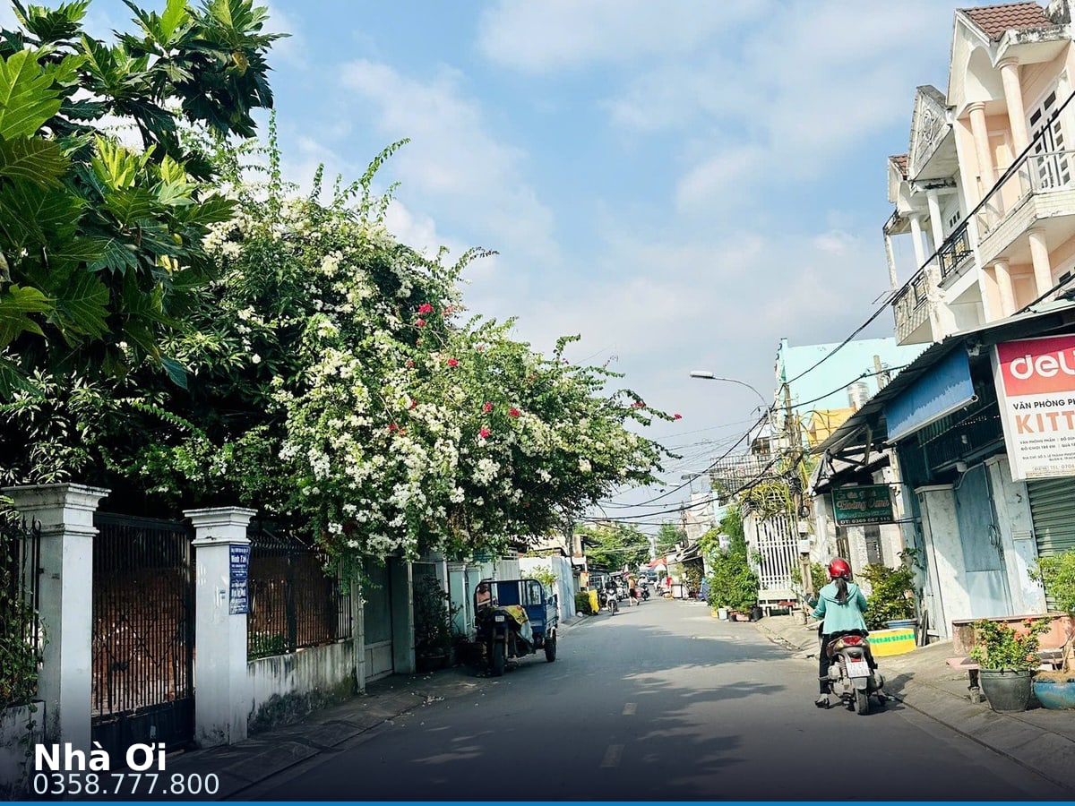 Nhà mặt tiền — Phú Định, Phú Định, Quận 8 — 290.4m² · ngang 25m · 1 tầng — 125 tỷ