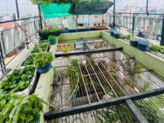 Nhà mặt tiền — Tân Kỳ Tân Quý, Bình Hưng Hòa, Bình Tân — 72m² · ngang 4.1m · 4 tầng — 25,8 tỷ