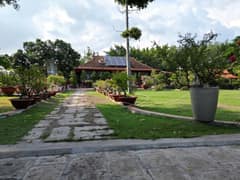 Nhà mặt tiền — Tờ 01 (75 Phạm Thị Tánh), Hưng Long, Bình Chánh — 9355m² · ngang 100m · 1 tầng — 80 tỷ